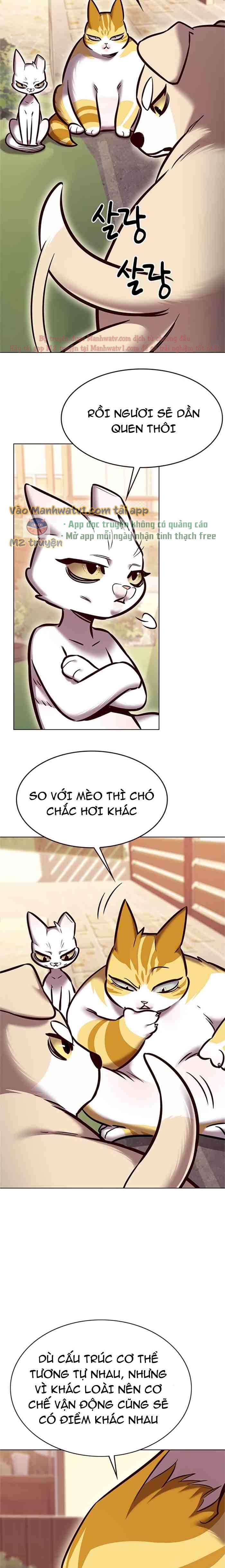 Đọc truyện Hóa thân thành mèo (Bản Free) - Chap 280